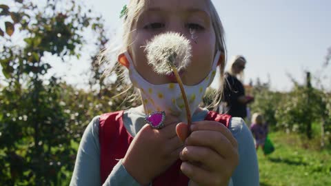 Blonde girl pull down face mask to dandelion as family walks among rows of vines