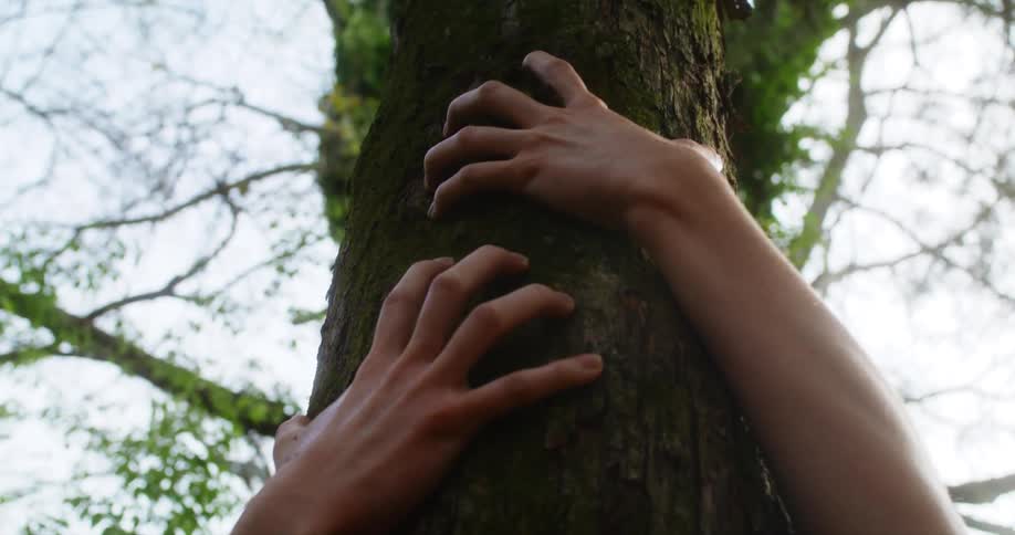 Woman cuddles tree trunk in the forest