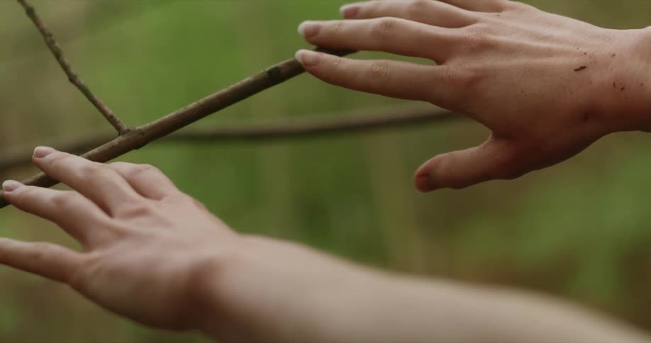 A female holds out her hands and delicately touches a thin tree branch