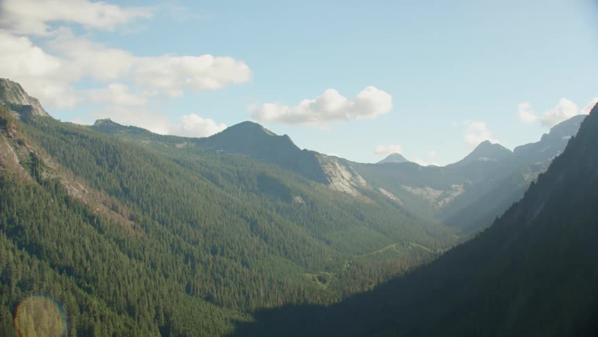 Aerial view of mountains covered in trees is displayed