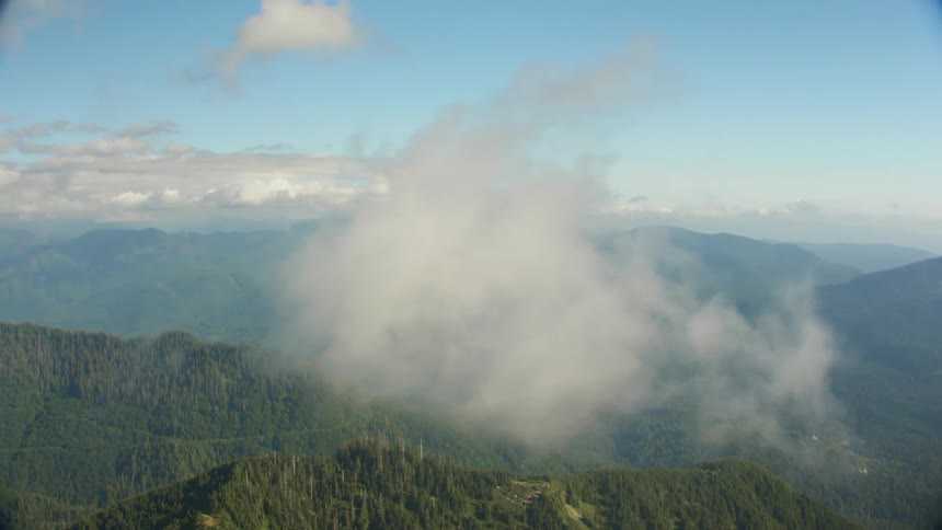 Aerial view of mountains covered in trees is displayed
