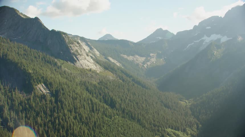 Aerial view of trees covering the mountains is displayed