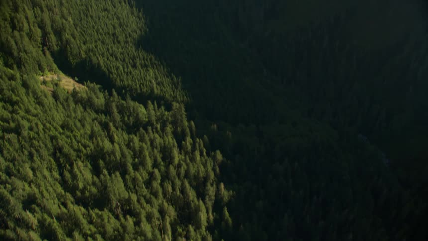 A vast mountain valley covered in thick forest on a sunny day