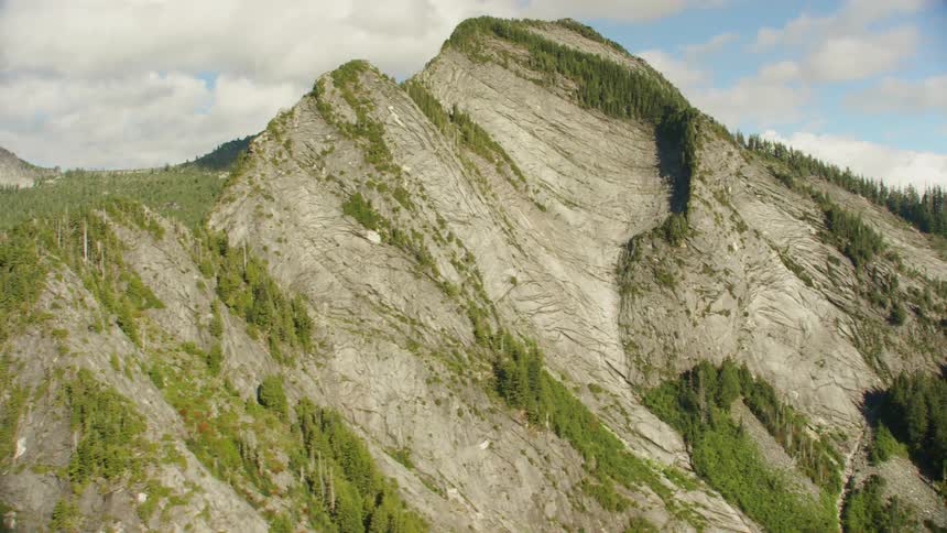 Trees dot the side of a mountain and fill the ground at the base