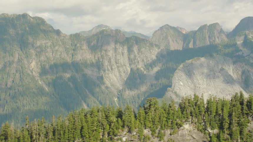 An aerial view of tress in front of a mountain range