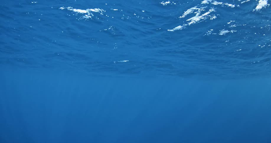 A diver is filming the empty dark ocean