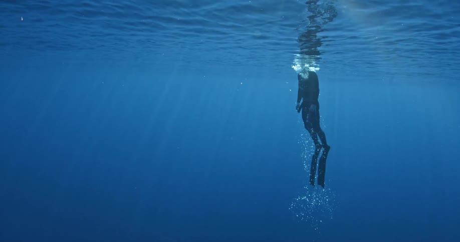 A diver floats to the surface surrounded by bubbles