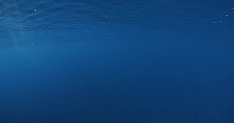 Light filters through blue ocean water