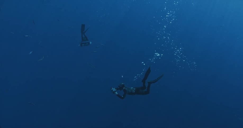 Divers swim in the ocean