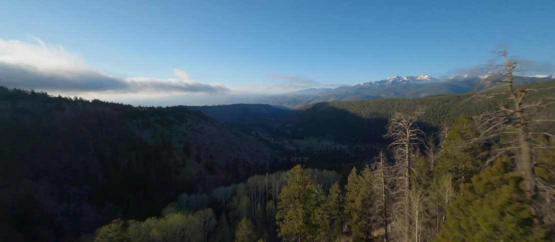 Forest full of leafless trees and conifers stretches over mountain and through shadowed valley