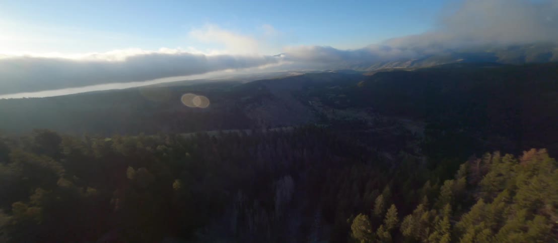 Aerial shot of a mountain forest