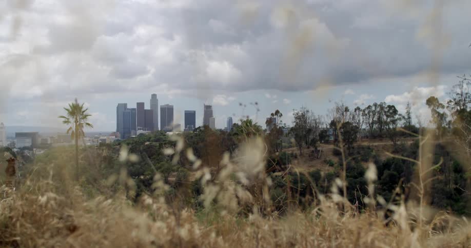 Gray clouds hang over a city that is seen beyond grasses and a canyon