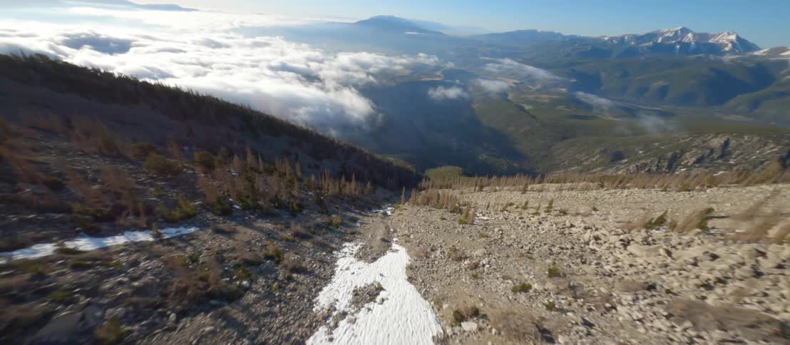 Snow fills channel at base of conifer forest covered slope in mountains