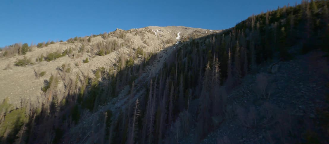Track leading from slightly snowy summit down mountain slope through forest sits in shadow under an azure sky