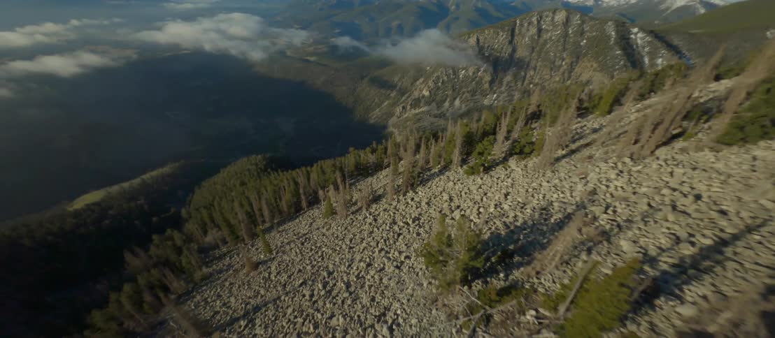Weeds and bushes dot a gravel trail through a mountain range