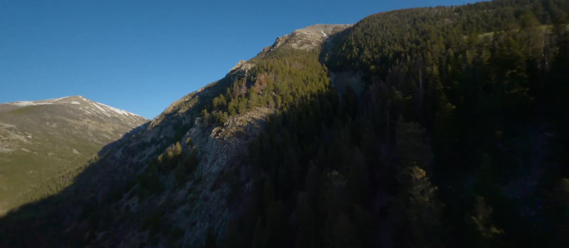 Conifers dot slope of mountains in mountain range under clear blue sky