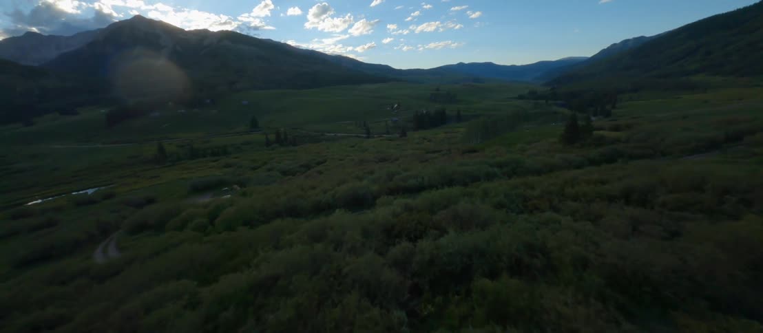 Bushes and trees cover the ground in the countrywide near tree covered hills