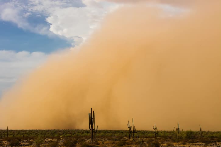 A large sandstorm travels over the desert