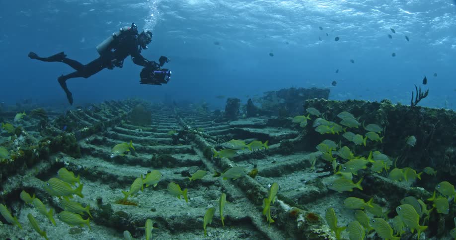 A diver films a school of fish on the bottom of the sea