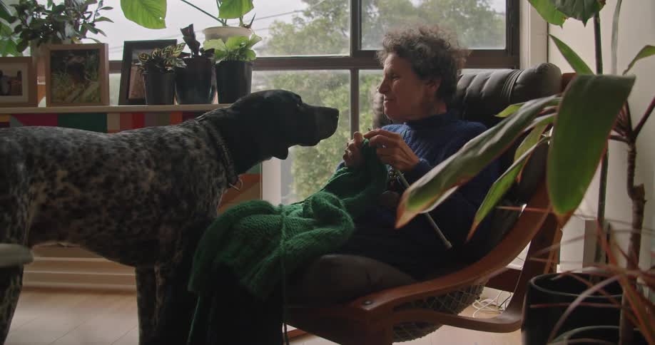 A dog is bothering a woman as she knits