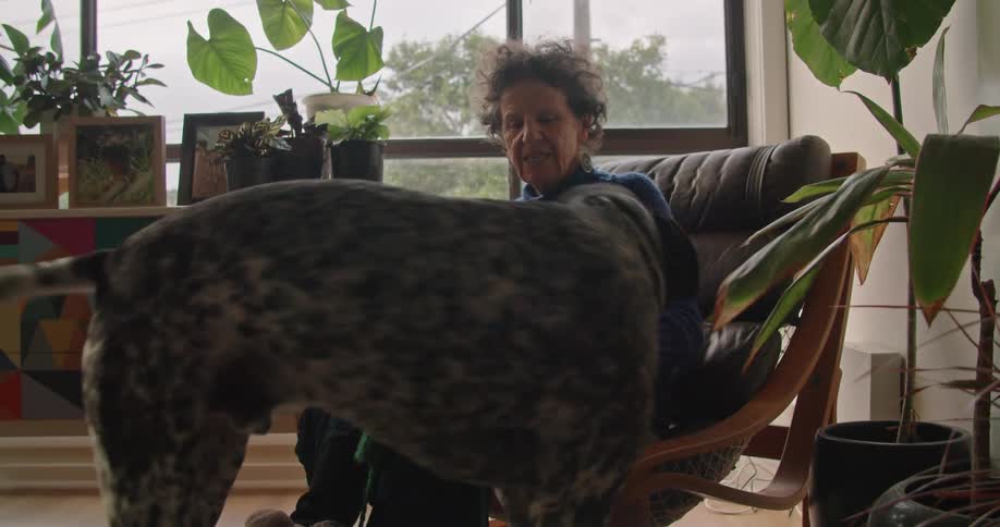 A woman laughs as she pets her big spotted dog with tail wagging