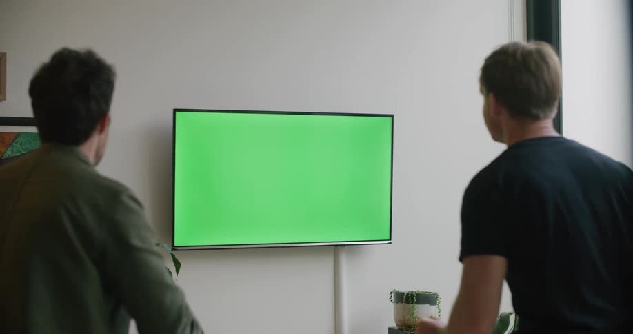 Two men in a room looking at a television with plants and a wall in the background