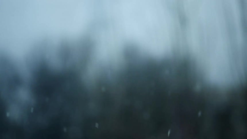 Snowflakes fall with blurry trees and sky behind
