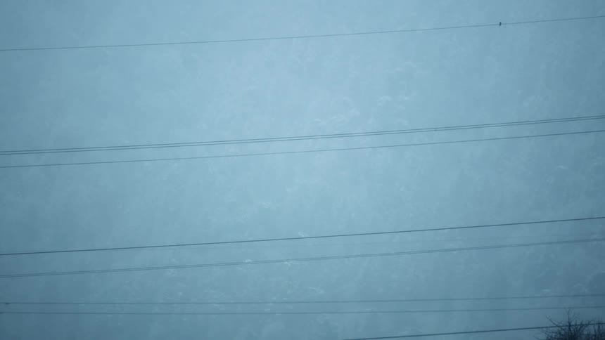 Several electrical and telephone wires hang overhead