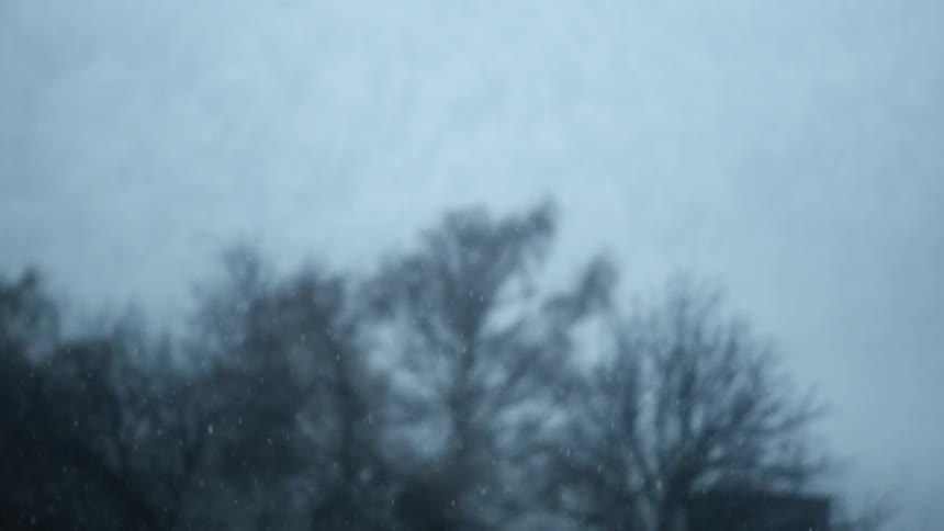 Snow is falling and bare trees are in the distance