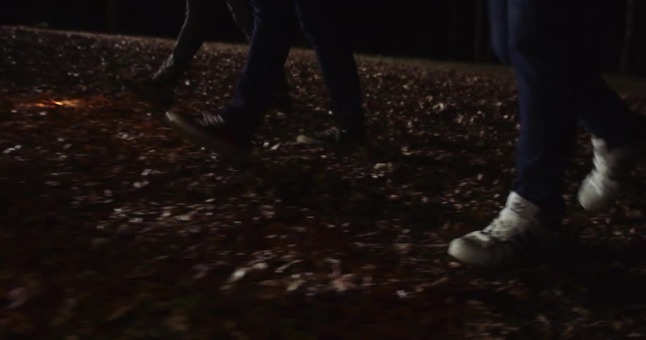 Three people holding flashlights walk through a leaf covered field at night