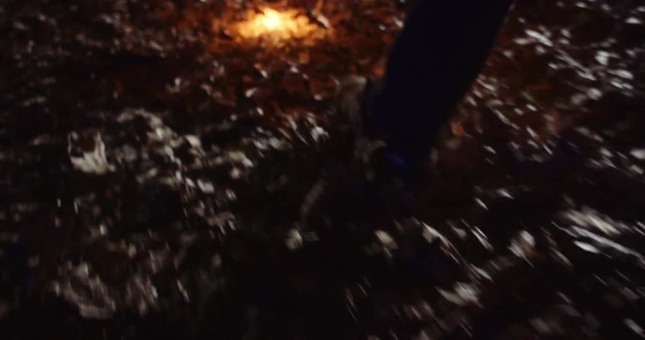 A person shines as a flashlight as they walk through leaves at night