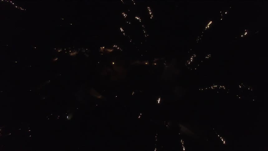 Fireworks explode in a night sky
