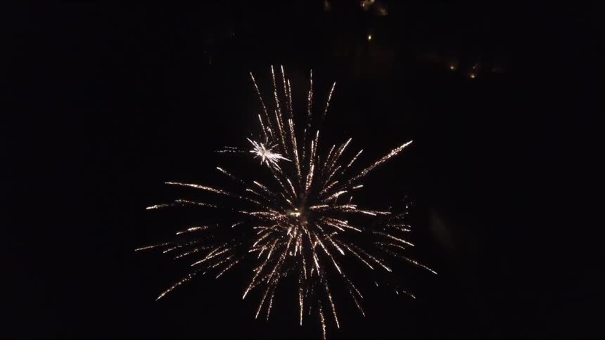 Fireworks bursting against the night sky