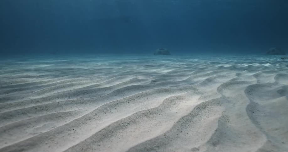 Sunlight shines through the ocean onto the sandy ocean floor