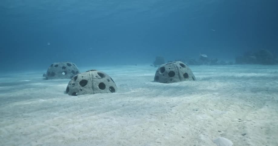 Coral Balls on the floor of the sea during the day