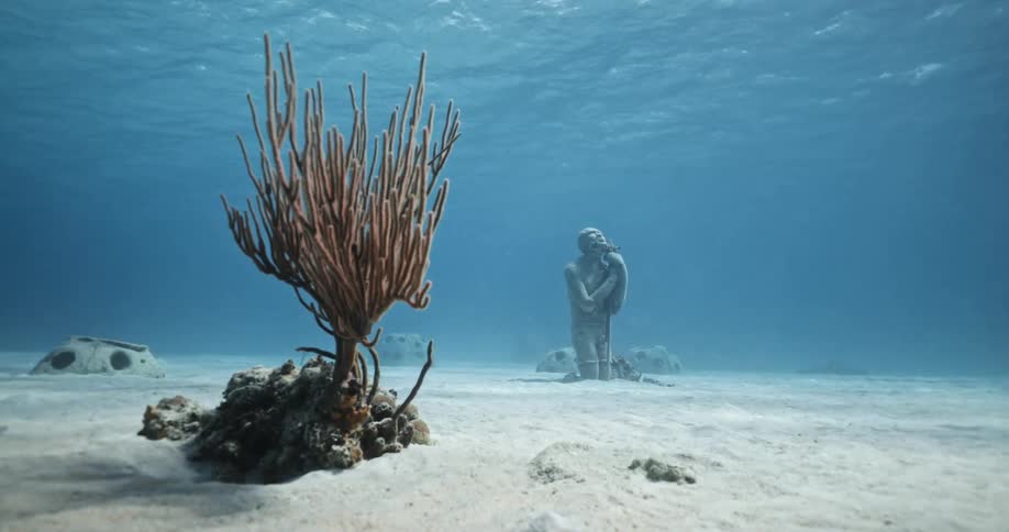 Coral sits next to an underwater statue