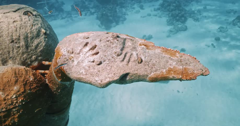 fish swimming around the hand of the Ocean Atlas underwater statue