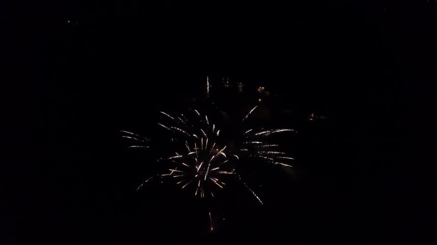 Fireworks exploding into the night sky