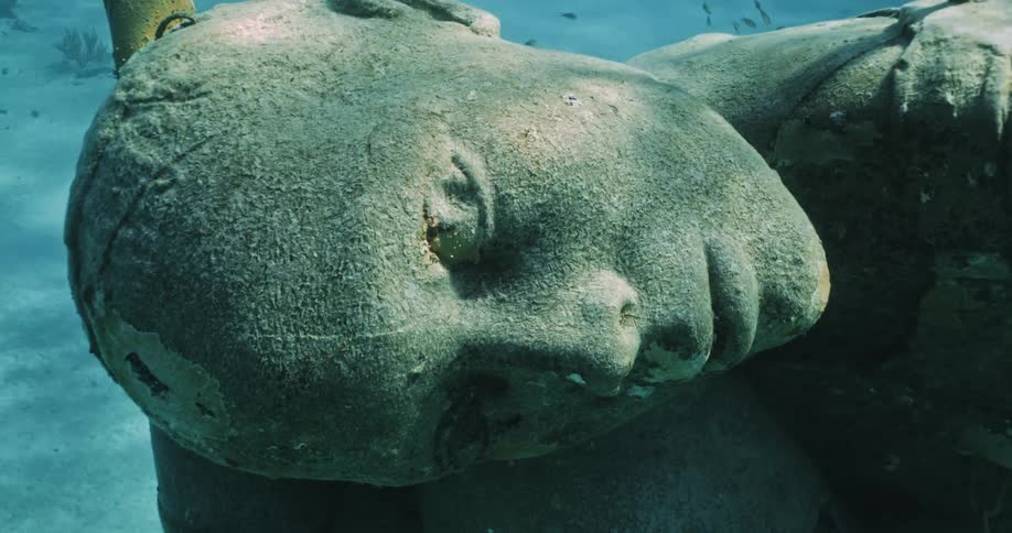 A view of a statue that is under water