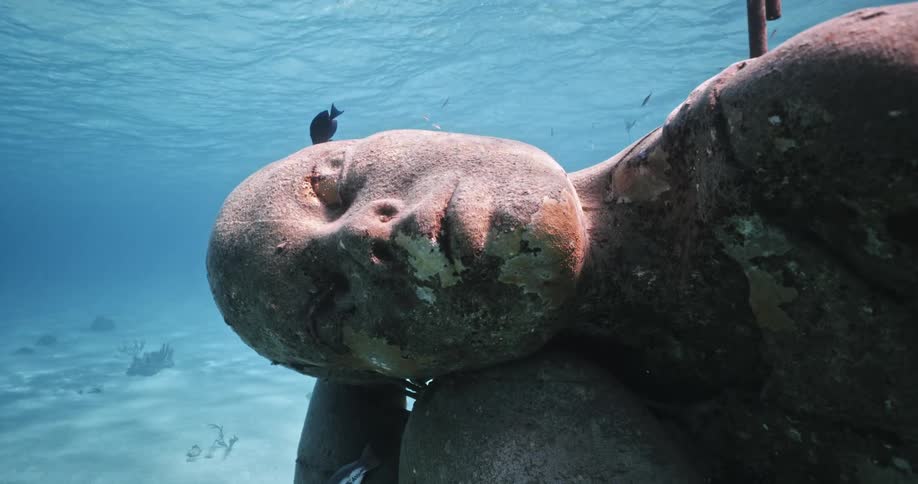 Close up of a statue submerged underwater with fish swimming around in the clear blue ocean water