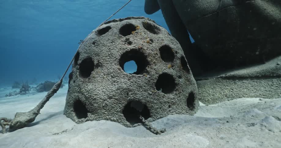 A view of a sculpture under water