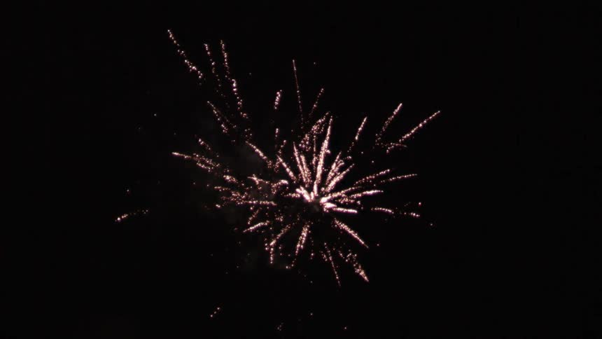 Fireworks explode in the night sky