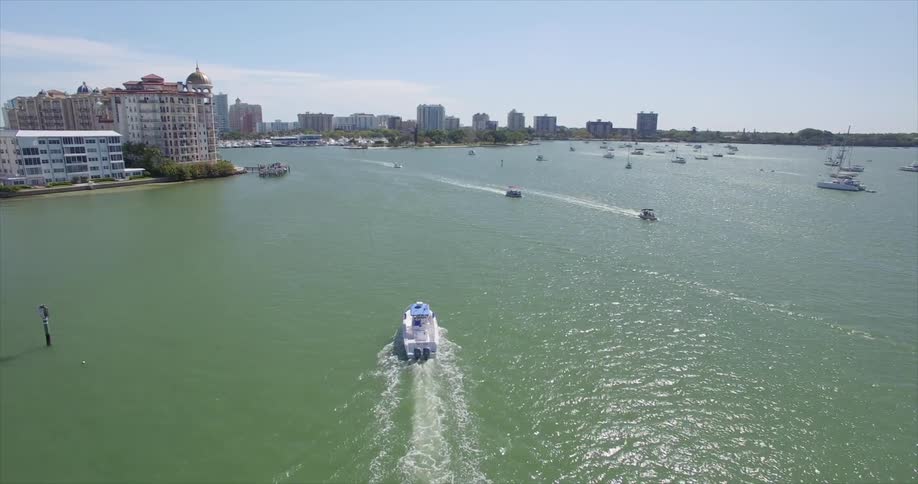 A lot of boats in the water next to a large city