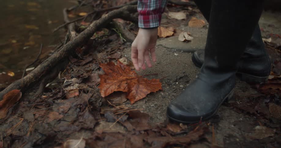 A person picks up a leaf by the stream