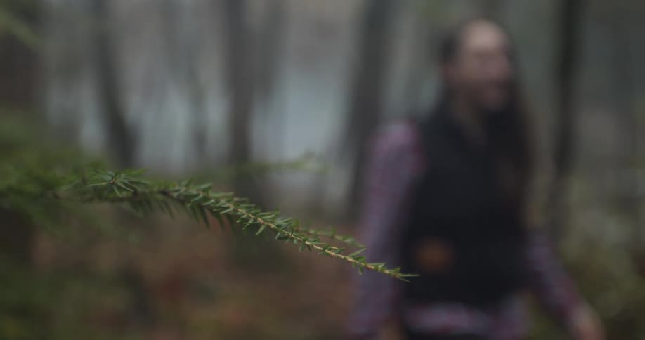 A person walking in a forest with trees