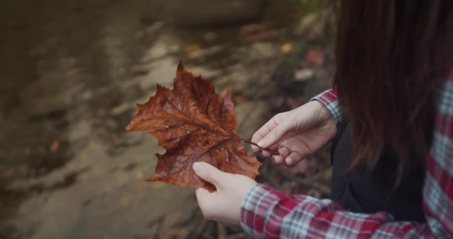 A woman picking up a leaf out of a river