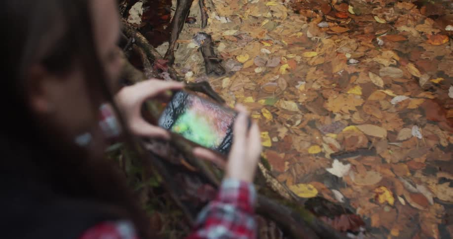 A woman sits in a tree to take a photo with her smartphone of leaves floating in a puddle below