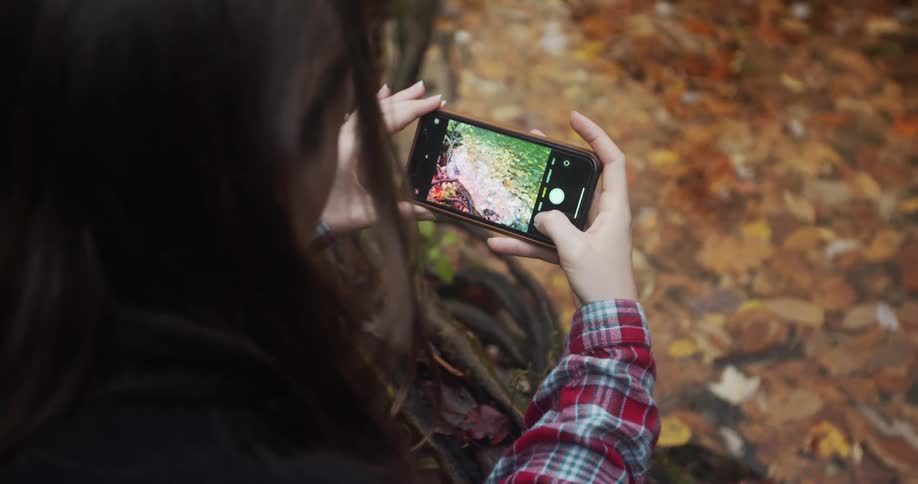 A woman is taking photos in the woods
