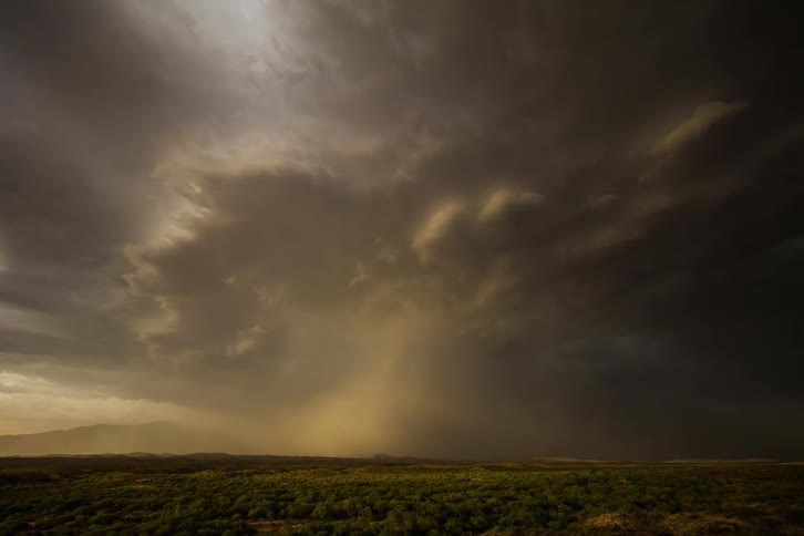 A storm turns the sky black over a field