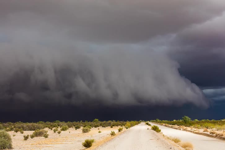 A landscape with shrubs and desert with the sky and clouds in the background